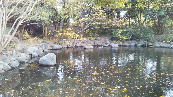 公園の風景その2