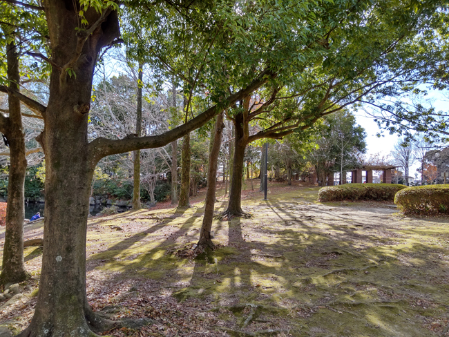 公園の風景