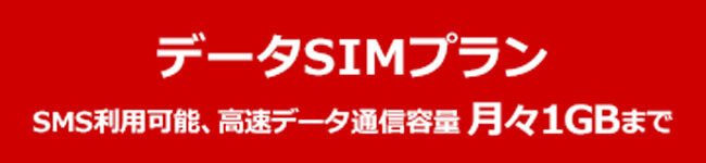 【レビュー】ワイモバイルのデータSIMプラン(月額980円)を使ってみた