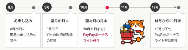 PayPayポイント付与スケジュール